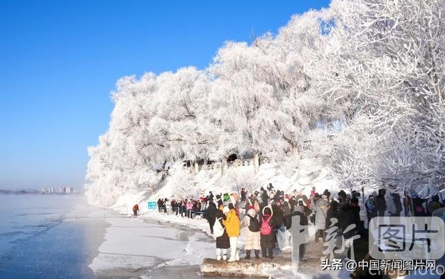 吉林小雾凇岛迎五星雾凇