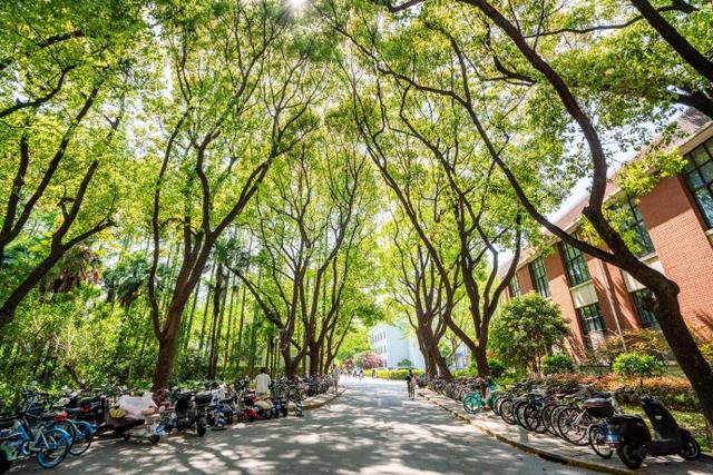 我是山东人，在宁德屏南待了几天，想说说游玩屏南的4点真实感受