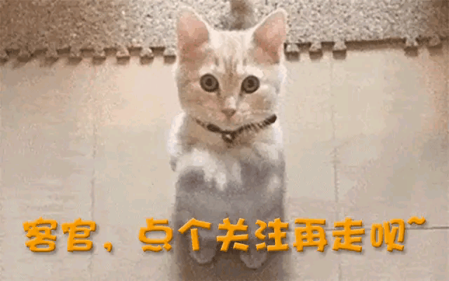 看了原配施幼珍的格局，才明白宗庆后去世后，宗馥莉为何能翻盘