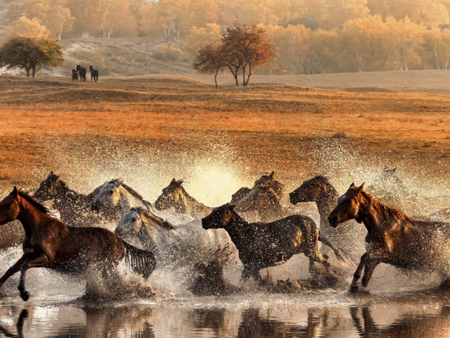 “把全世界的美都浓缩在这里”，这场年终大展惊艳了2025最后一个周末