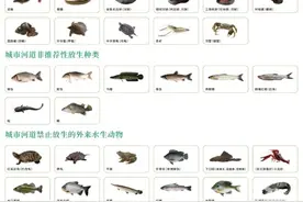 西湖和钱塘江允许放生吗？杭州公布20个河道放生点位，推荐17种放生鱼类图片