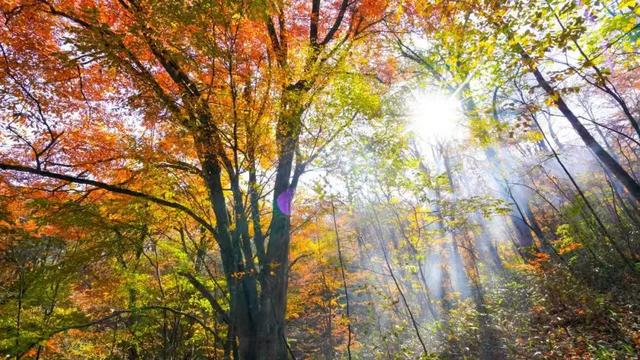 秋假不“宅家”!汉中这4条线路,承包你和孩子的秋日心动~