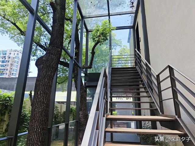 杭州旅游攻略看展逛博物馆老街菜市场换个城市走走停停文艺风