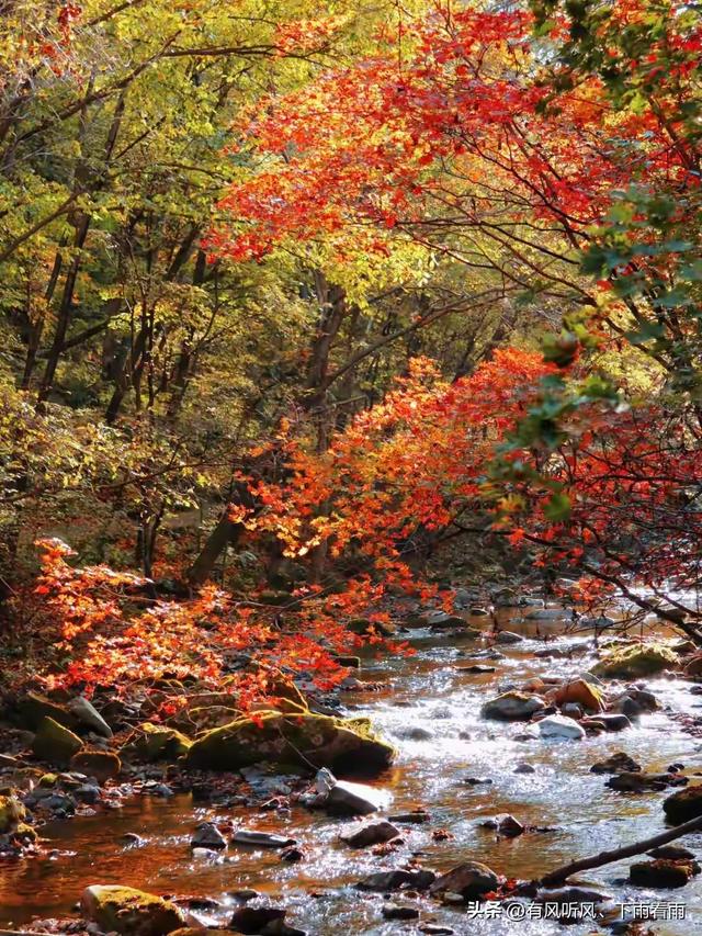 秋染山河