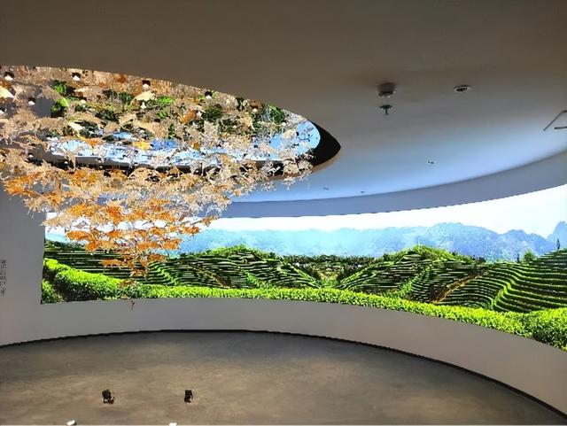 沉浸式感受韶关新丰绝美秋色！ 2天1夜赏枫露营品美食，徒步泡温泉，一起去躺平 ！