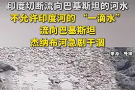 印度撕毁条约断水源！巴基斯坦：“你们断水，我们就断你们呼吸”图片