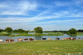 辽宁也有大草原，它被称为辽宁版的阿勒泰，送上自驾旅行攻略图片