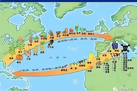 原产美洲的农作物为中国增加了几亿人（1213）图片