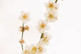 微小说：家产图片