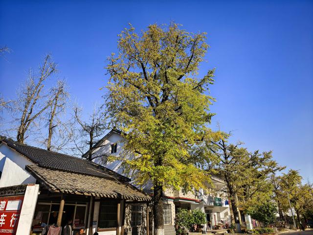 徒步八都岕黄金大道