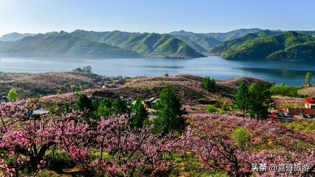 丹东桃花岛：在那桃花盛开的地方，遇见一江春色两国风情