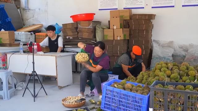 寻访中国抗日军政大学第十分校旧址——“背包大学”里的岁月回响与振兴足音