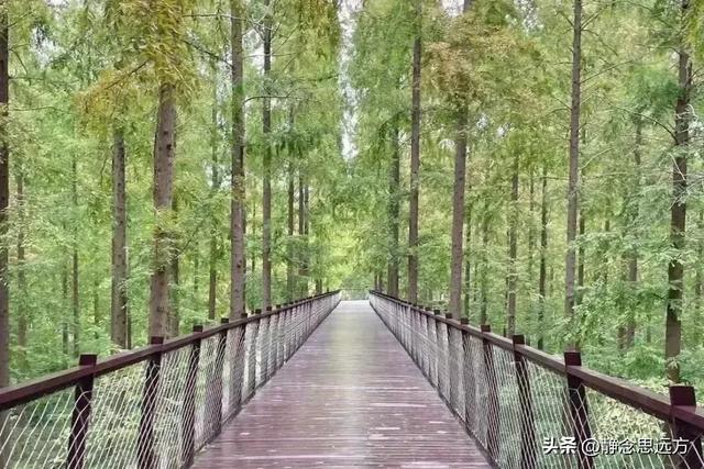 去了趟江苏盐城，真心建议：不要随便去盐城，除非你有一个好胃口
