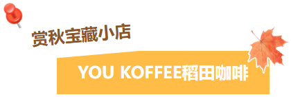 临沂秋日捡秋啦 | 把秋天，装进你的时间胶囊~