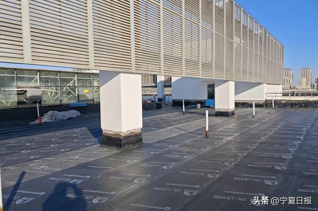 闭馆两个月后，宁夏图书馆焕新回归！这些改变很贴心→