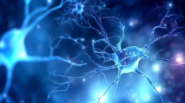 跑步能让人更健康？研究发现：你以为“运动万能论”	，可能是错觉