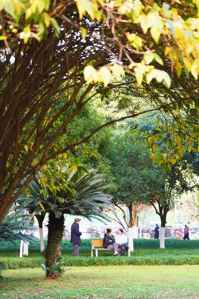 花漾邛州｜“蜡”么香，“蜡”么美！