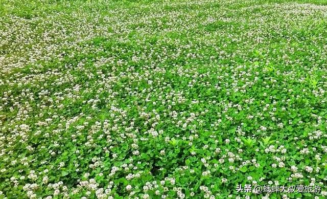 惊呆了，杭州这个趣味公园，竟然岛中有岛，湖中套湖，可烧烤露营