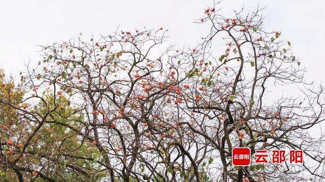 烟火北塔 文旅新韵