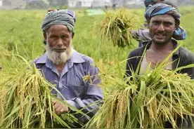 伊朗高原山地面积广大，气候干旱少雨，如何养活了8600多万人口？图片