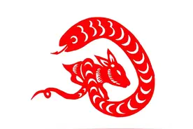 蛇年从2025年什么时间开始算？别搞错啦！图片