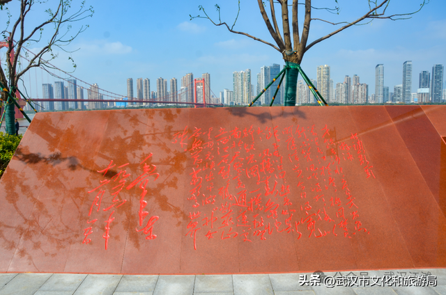这个江滩“萌新”，好火啊！