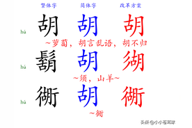 汉字改革探讨：胡（鬍衚）须（鬚湏）同（衕）等字分化图片