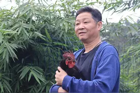 赵亮陷入舆论风波，先道歉后回应：质疑我们养的鸡，很冤枉图片