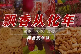 飘香从化年 | 这种水果“葚”是甜蜜，全身都是宝！图片