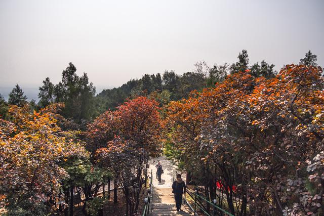 京郊游之红螺寺