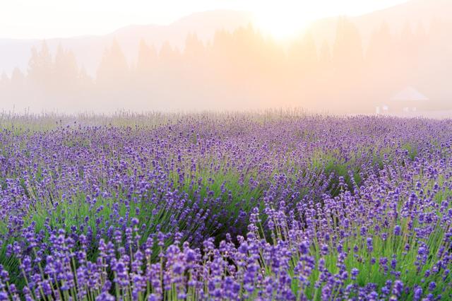 陕西没料到，河北也没料到，如今的中国河南省，已成为全国焦点