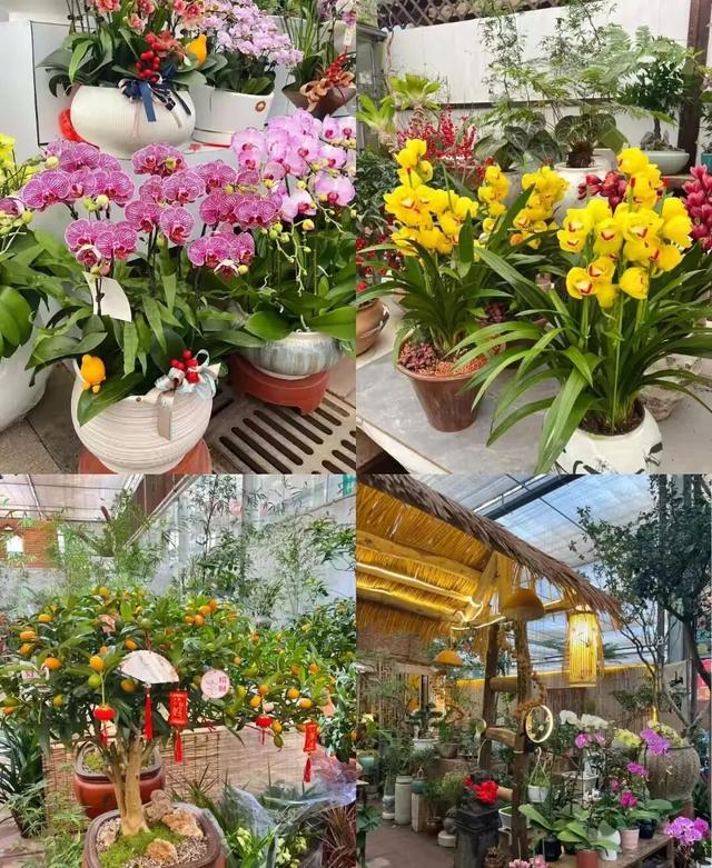 有一种烟火气叫“罗庄大集”，「美食+美景」全攻略