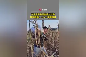 河南女生带男友回老家忙秋收，一人一车嘎嘎猛图片