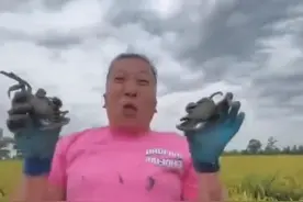 东北雨姐黑料合集，粉条被官方证实造假，雨姐涉嫌违法犯罪图片