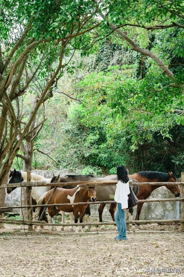 骑遇坪山① | 宝藏“高颜值”骑行线,拍出森系大片刷爆朋友圈