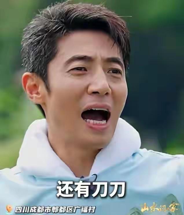 她和撒贝宁同居多年，却转身投入富豪怀抱，没想到现在竟沦落至此