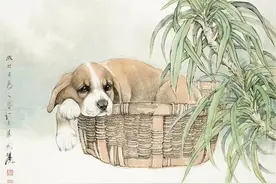 生肖狗：七月份不能犯的4大忌讳，早知道早注意，影响整体运势！图片