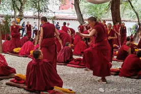 西藏行记（九）藏地最有趣的寺院——色拉寺辩经，一场生命的对答图片