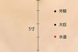 神奇水道穴，又称祛湿穴，夏季清热利湿通调水道的要穴，值得了解图片