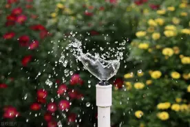 如何使用复方利多卡因乳膏治疗早泄图片