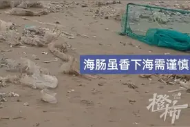 山东烟台海边出现大量海肠，有人冒险下海打捞，结果体力不支溺水……图片