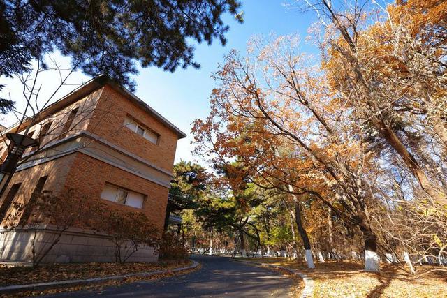 秋之彩色吉林｜层林尽染，鹿影翩跹！这里的秋天美成一首诗