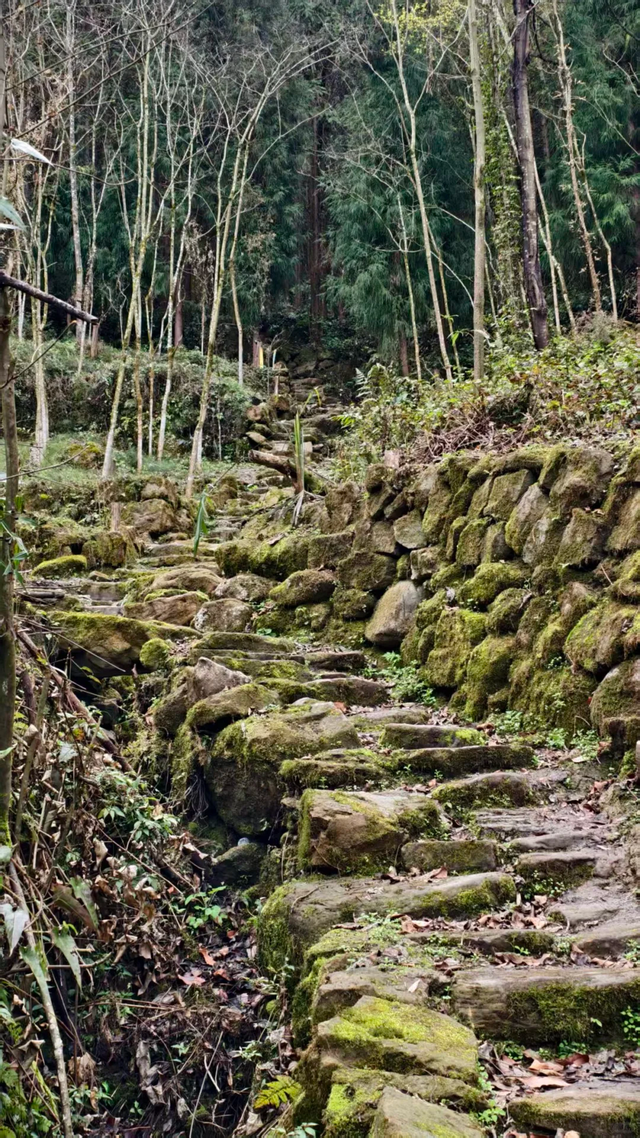 成都春假徒步好去处！超小众亲子游野趣路线，10元斋饭美味又健康