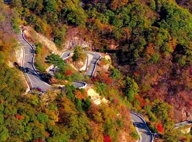 红叶爬上马鬃岭/郭兴华