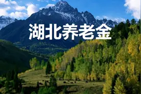 湖北省企业职工养老金的计算方法图片
