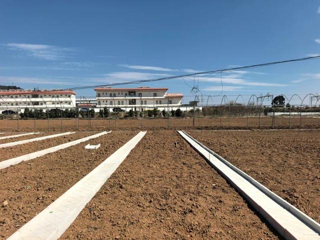 高铁口上新“农趣”！阳宗海田园旅居新玩法+1