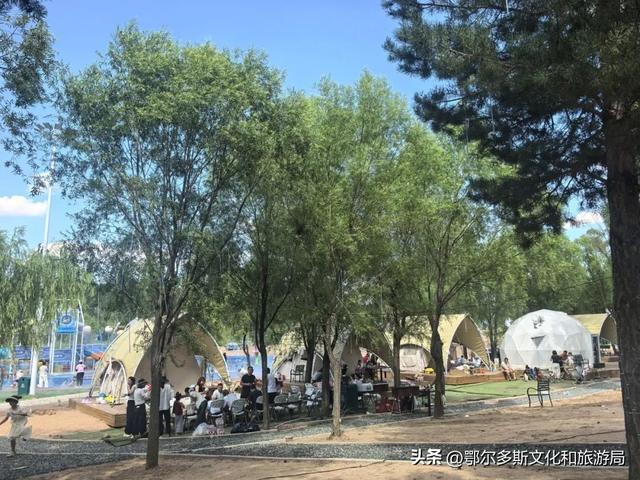 @你，鄂尔多斯植物园全攻略！暑期宝藏路线图！