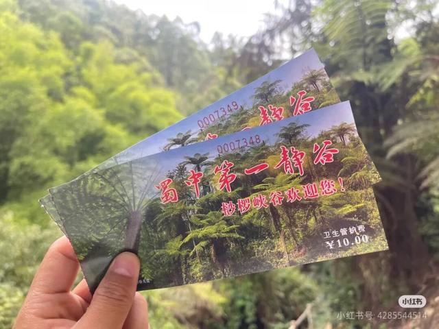 红了！1.5h直达甜味小镇，摘柿漫游徒步峡谷！美食断层第一，更是麻辣烫发源地！