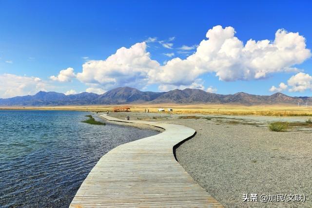 逃离令人窒息的家——给囤积癖老伴的告别信