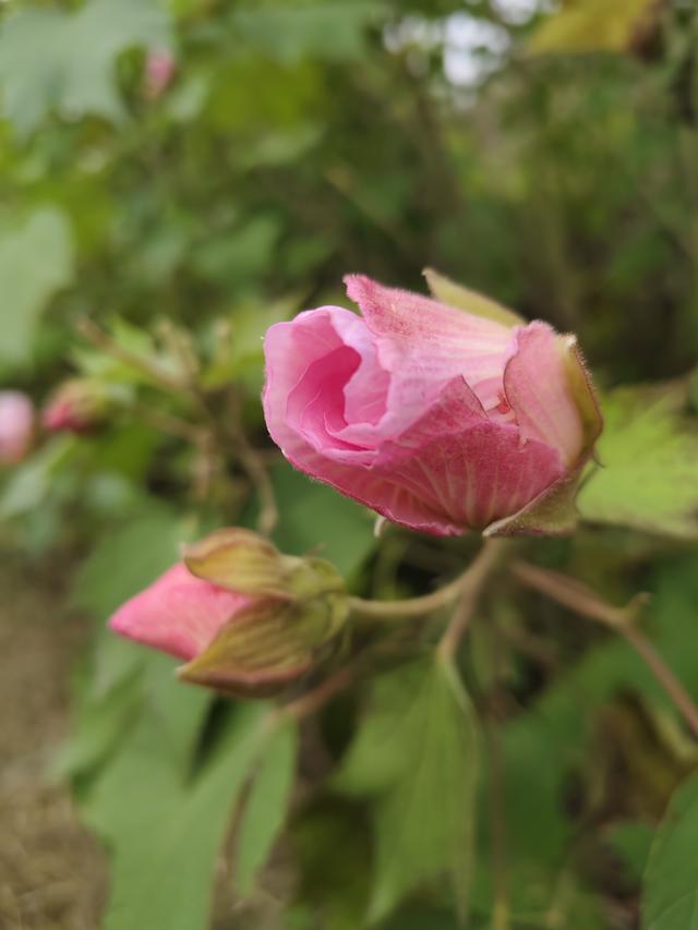 徒步穿越西流湖，赏秋正当时